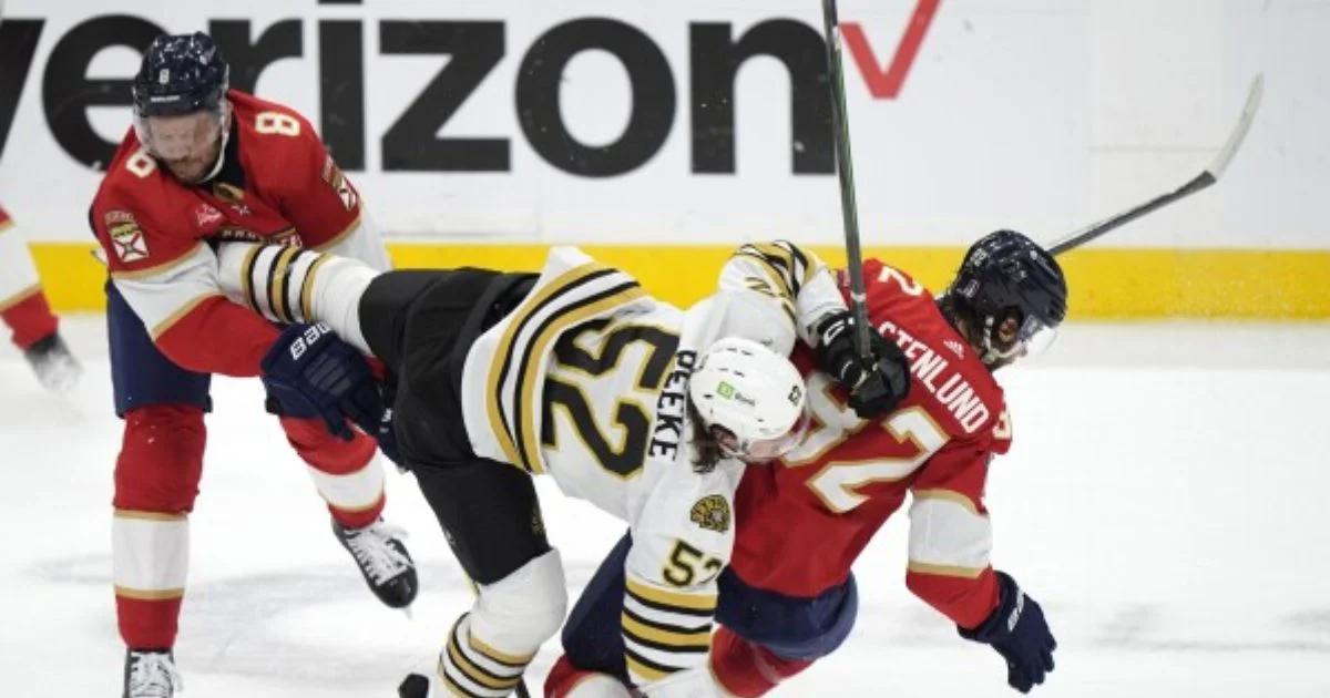 bruins panthers fight