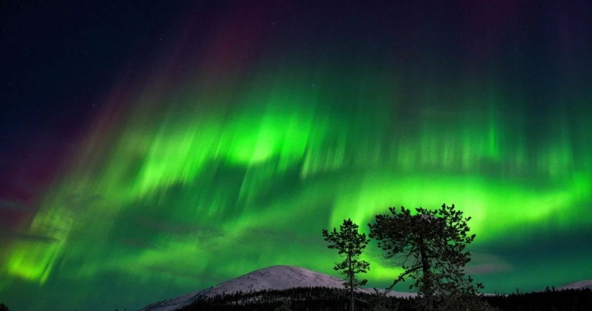 see northern lights tonight